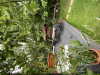 Vila Stefania | Cazare Brebu